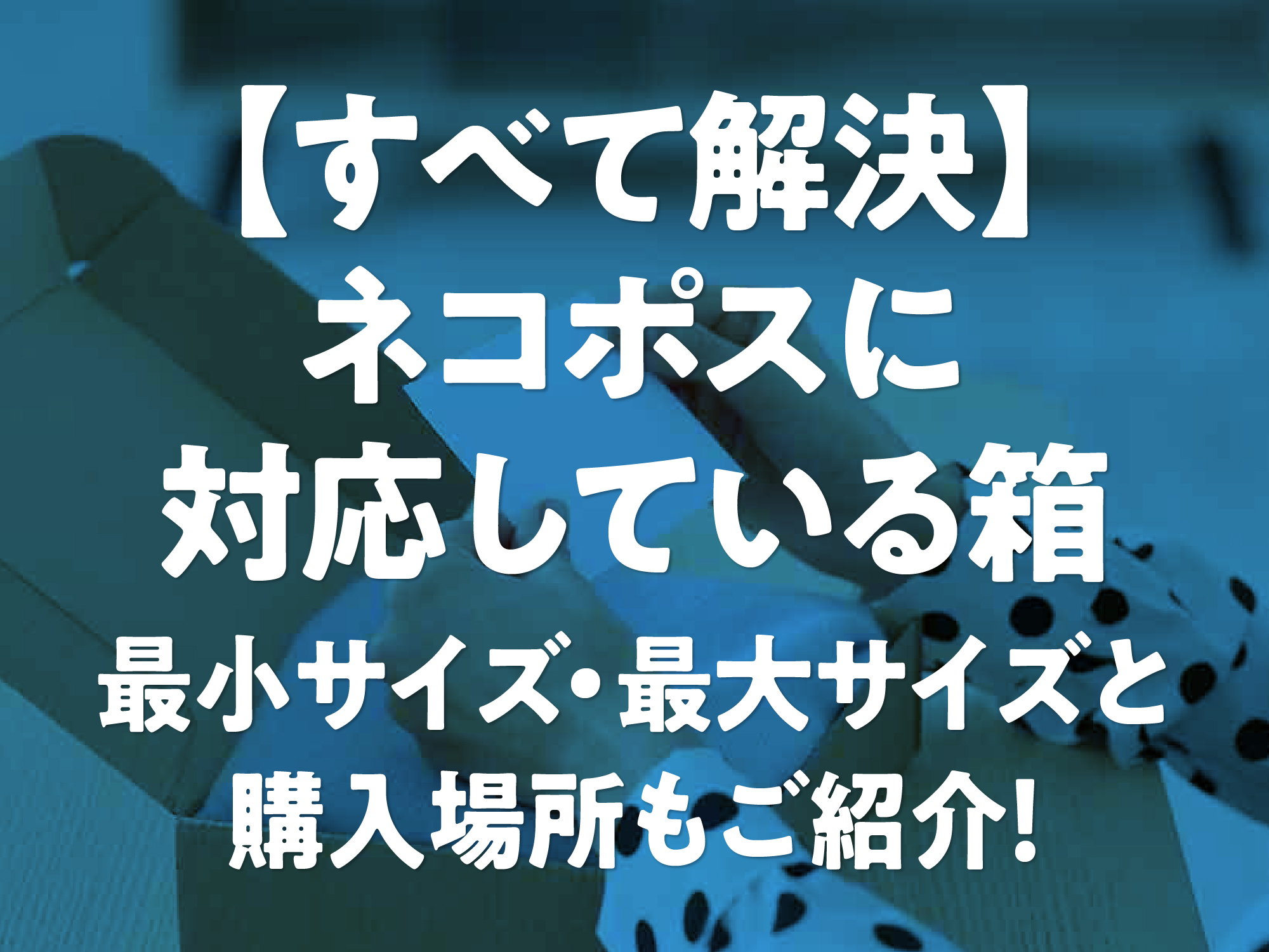 すべて解決】ネコポス箱の最小・最大サイズと購入場所も紹介！